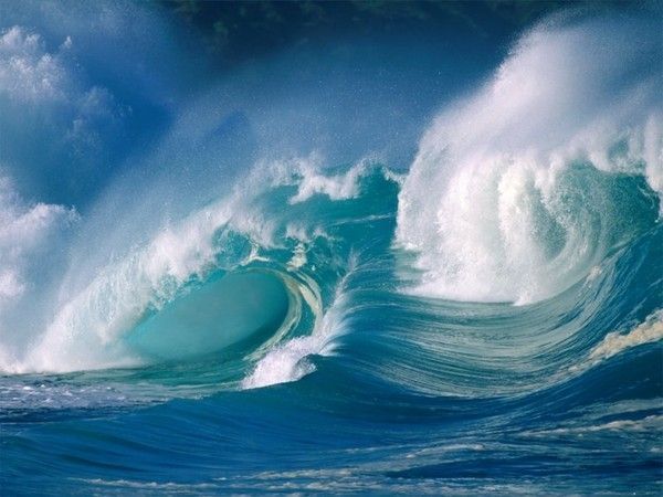La mer et l'amour (P.Marbeuf)